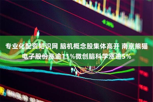 专业化配资知识网 脑机概念股集体高开 南京熊猫电子股份涨逾11%微创脑科学涨逾5%